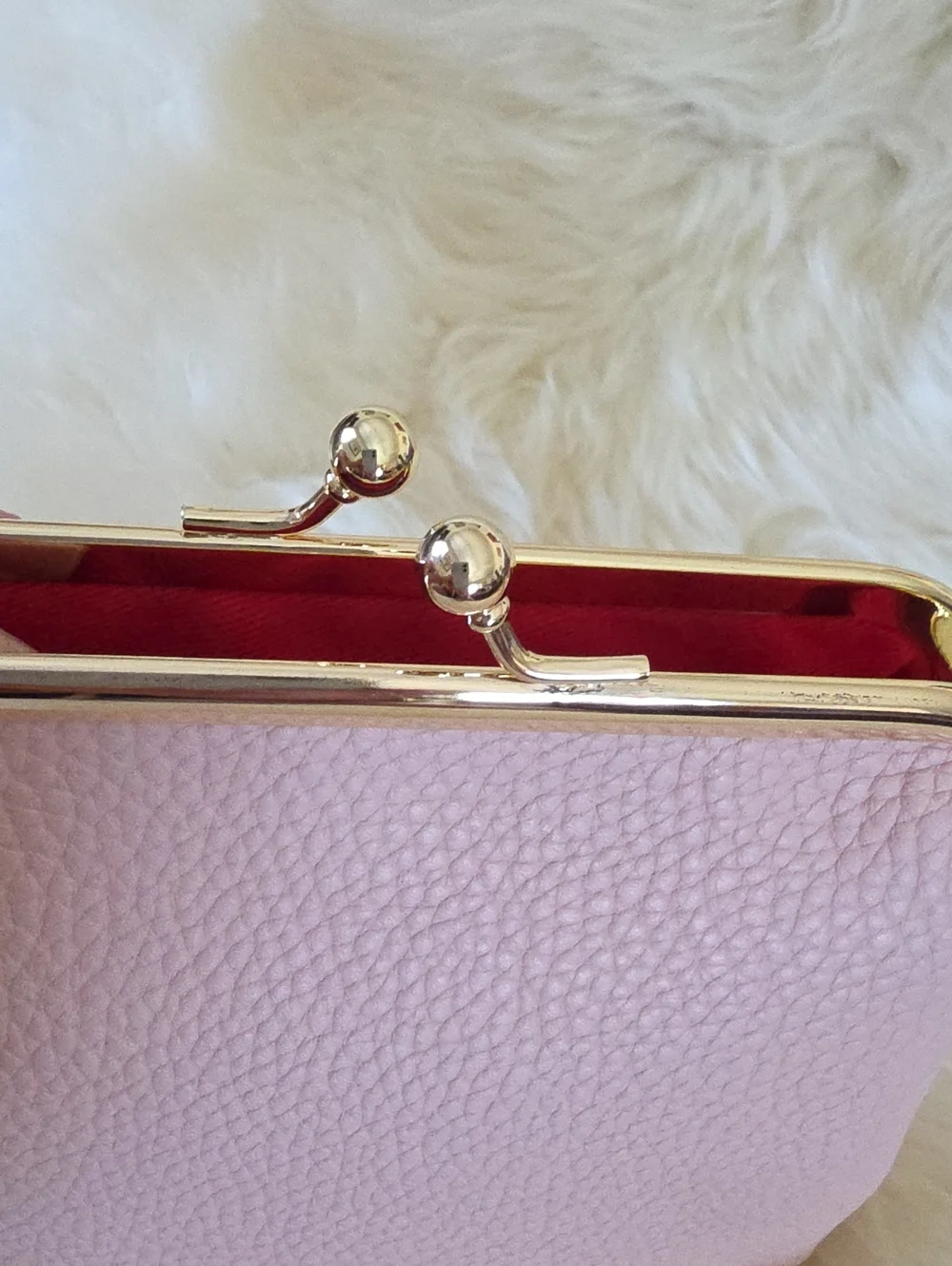 NWT Dooney & Bourke Pink Blush Leather Large Kiss-Lock Framed Purse 🩷💋🎁